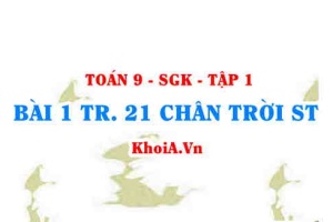Bài 1 trang 21 Toán 9 Chân trời sáng tạo Tập 1